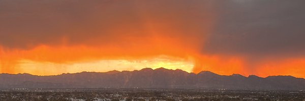 angelaroosee Profile Banner