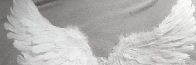 ֊ ̫ ֊ᶻᶻᶻ banner