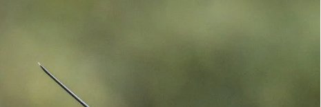 CReay21's profile banner image