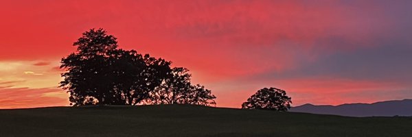 AmbearN89 Profile Banner