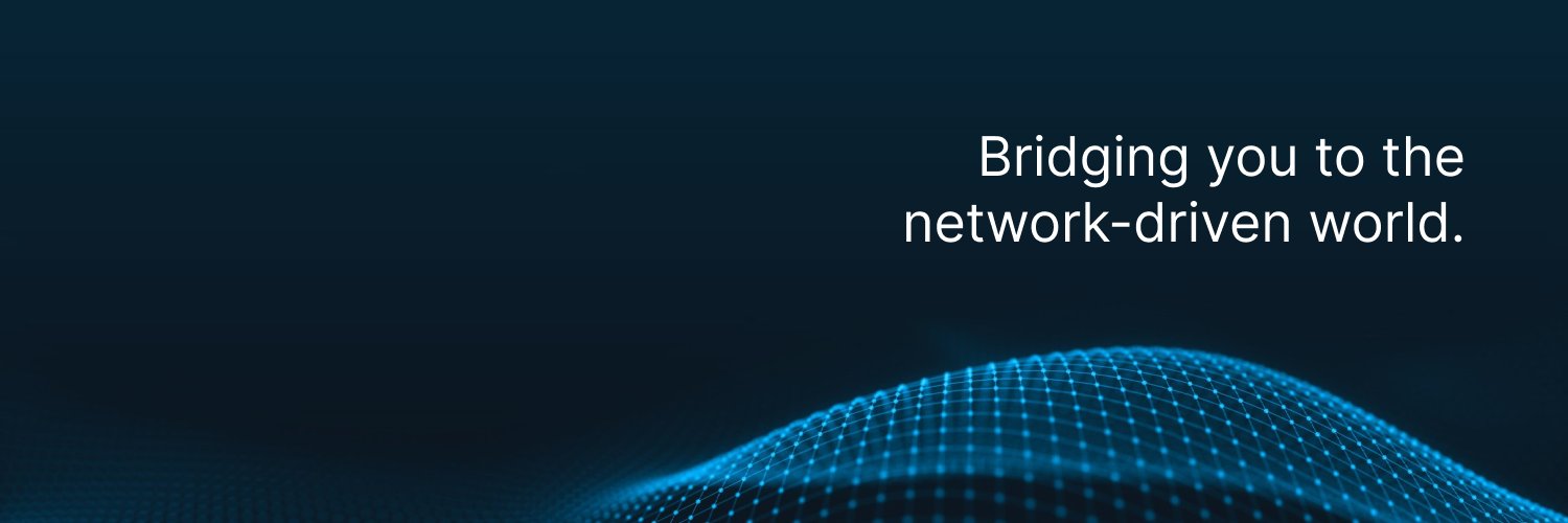 The Network Firm banner