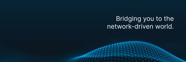 The_NetworkFirm Profile Banner