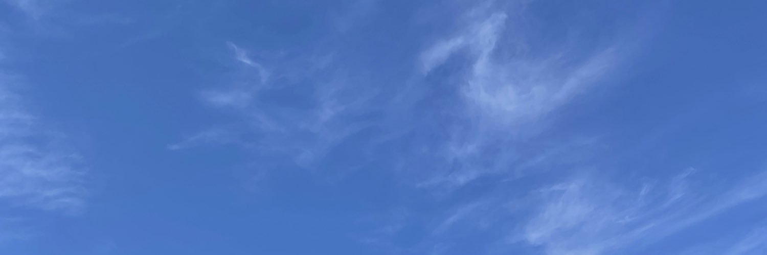 rabbitjidrid's profile banner image