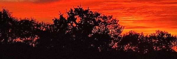 madermatt35 Profile Banner