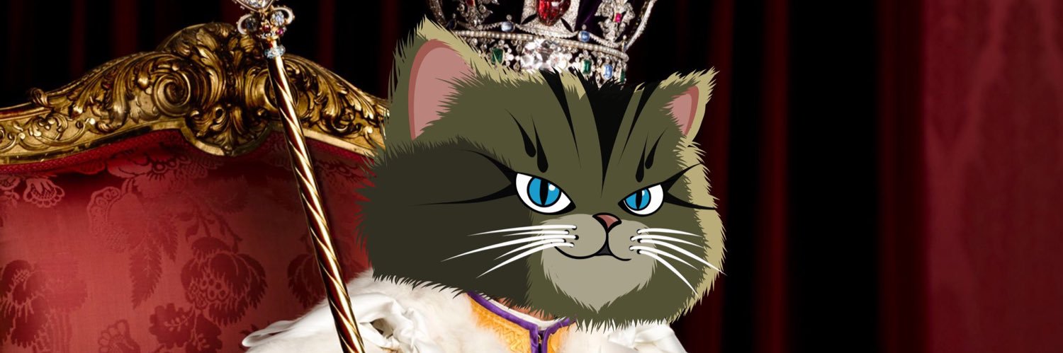 Rodney The Rescue Cat banner