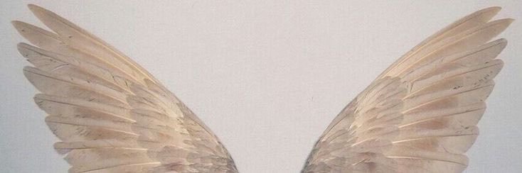 ashhep13's profile banner image