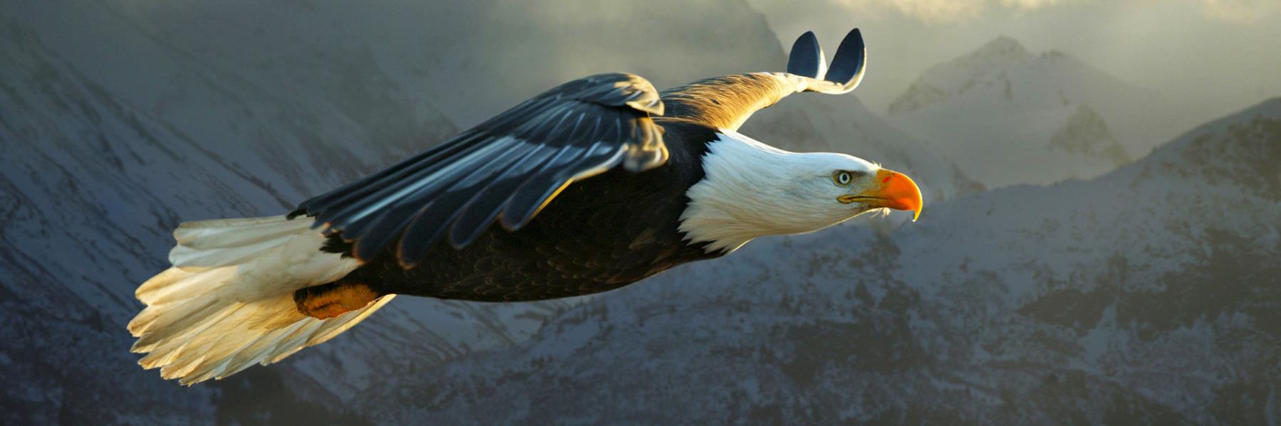 Rien van Harselaar banner