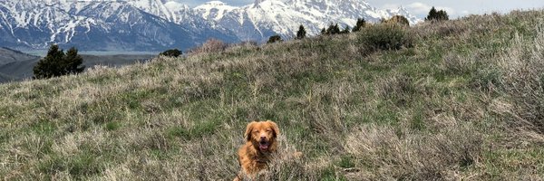 wbpeck Profile Banner
