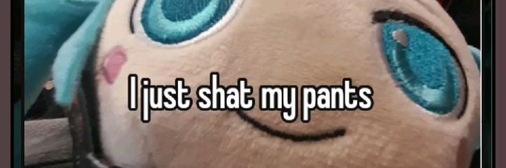 Nikolai banner