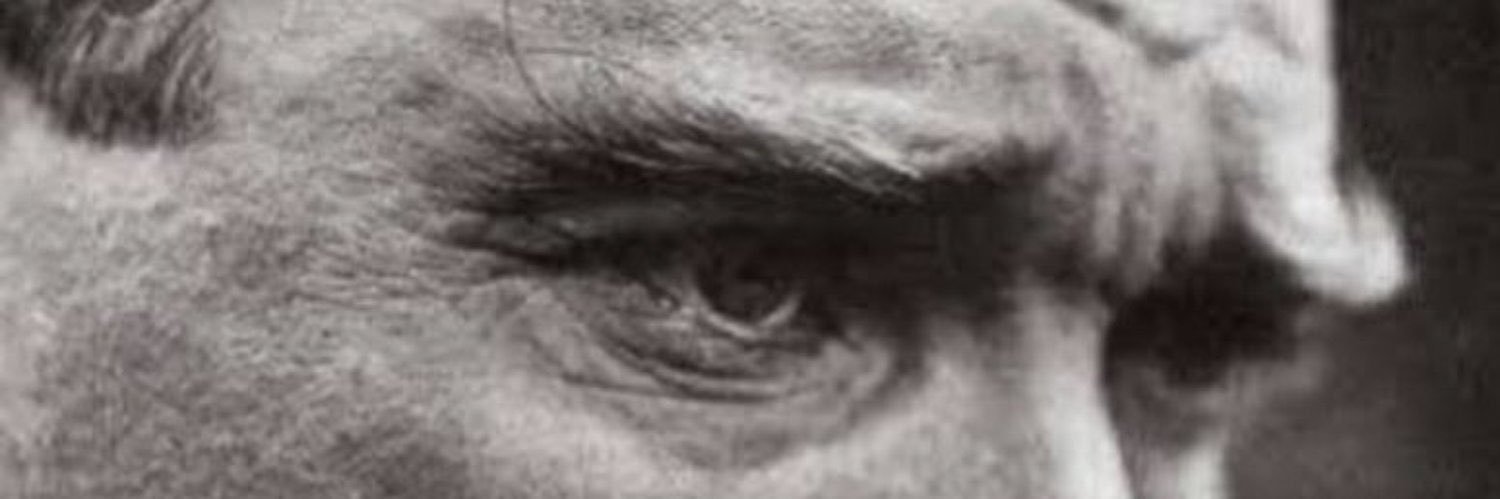piitirak's profile banner image