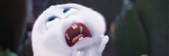 sosad banner