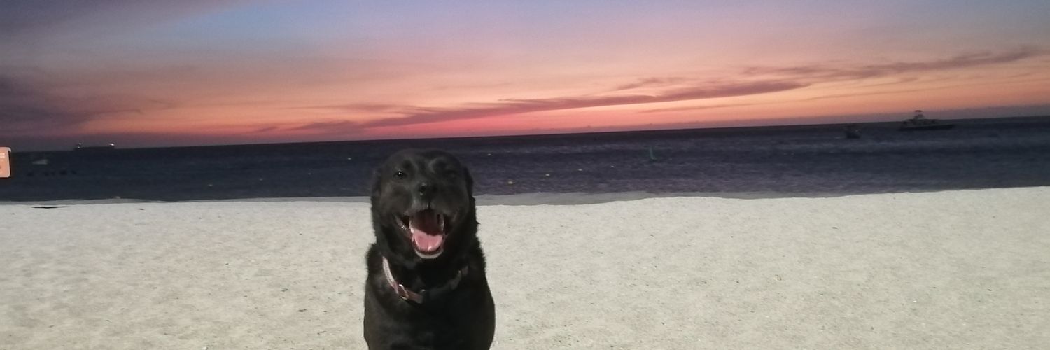 fernando_salced's profile banner image