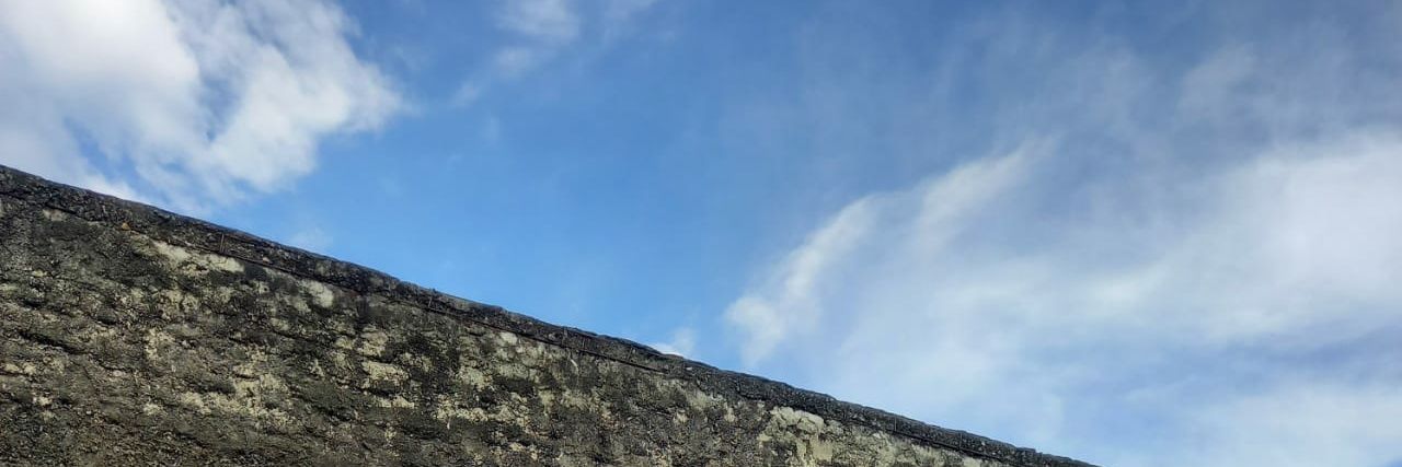tania astriana banner