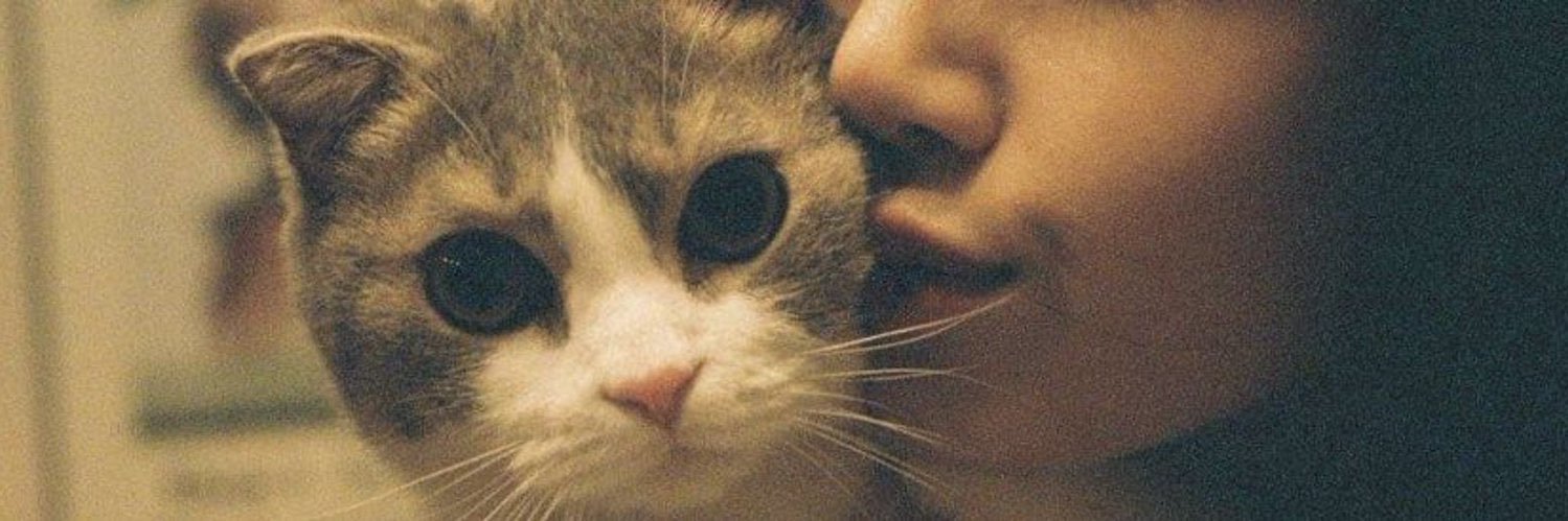 บักแมว🐾: สาขา2 banner