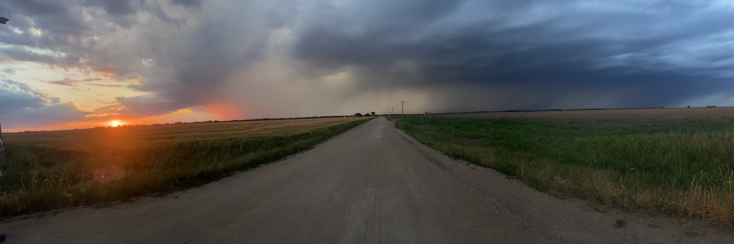 Kaitlin Farrell banner