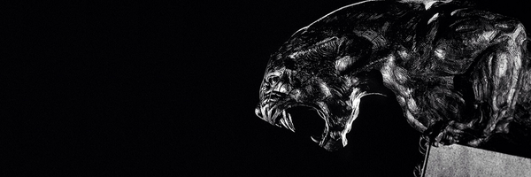 aussiePanther Profile Banner