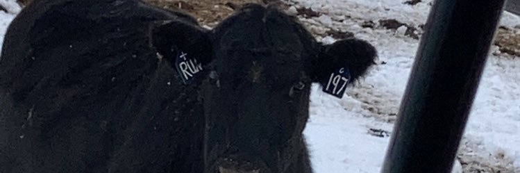 acemcnamee's profile banner image