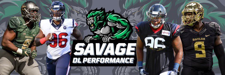 Savage DLine Performance banner