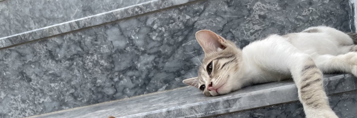 rudezo_'s profile banner image