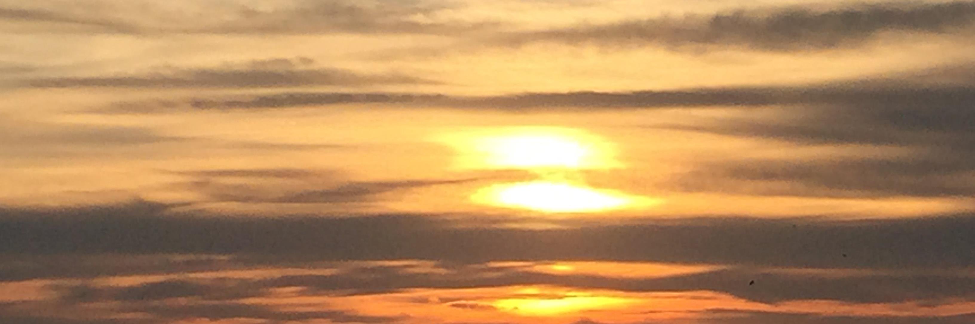 StPetePSI's profile banner image