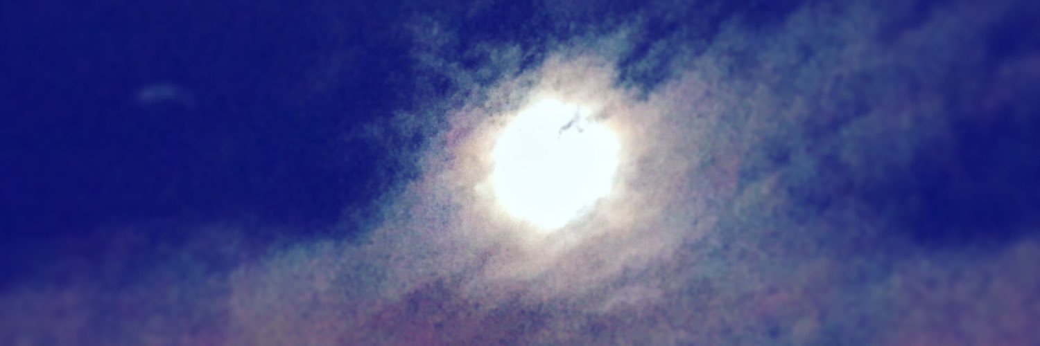 Mercè Julià banner