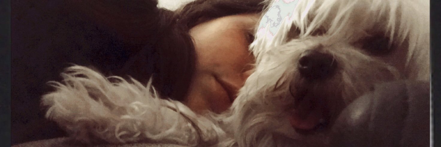 camitech's profile banner image