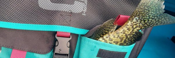 coalpatch Profile Banner