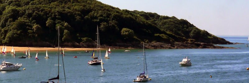 Diana Detterick 💙 banner