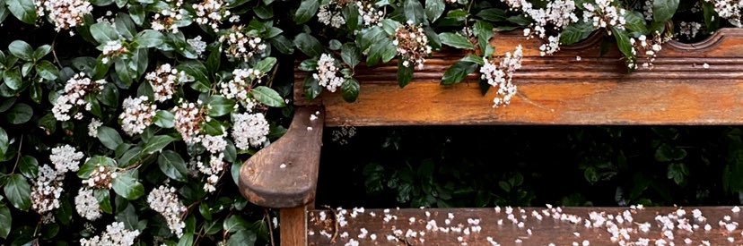 zeynepozel's profile banner image