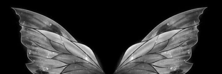 🪽 banner