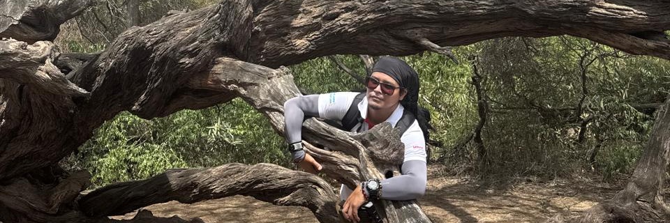 Edinsillo's profile banner image