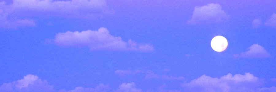 Fibnesse banner