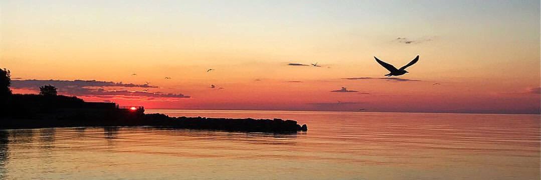 Sam (she/her) banner