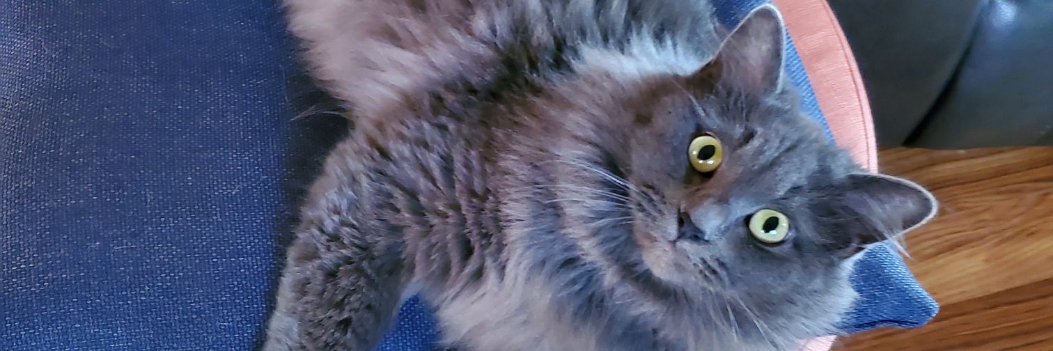 grumpy ol' bastard banner