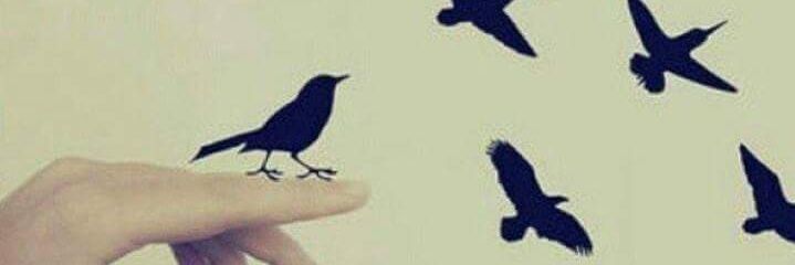 MADIHA_Mhd's profile banner image