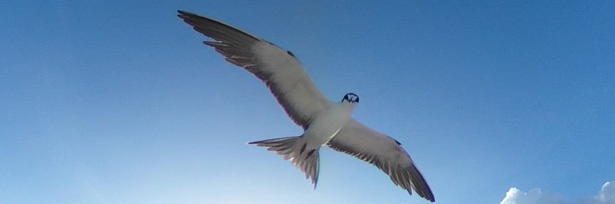 cima508's profile banner image