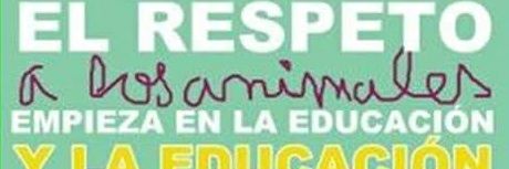 micielitos's profile banner image