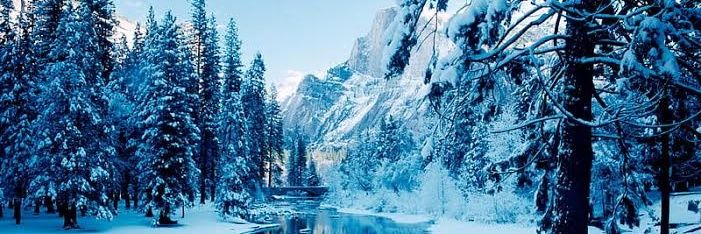 Pup Winter (4k followers) banner