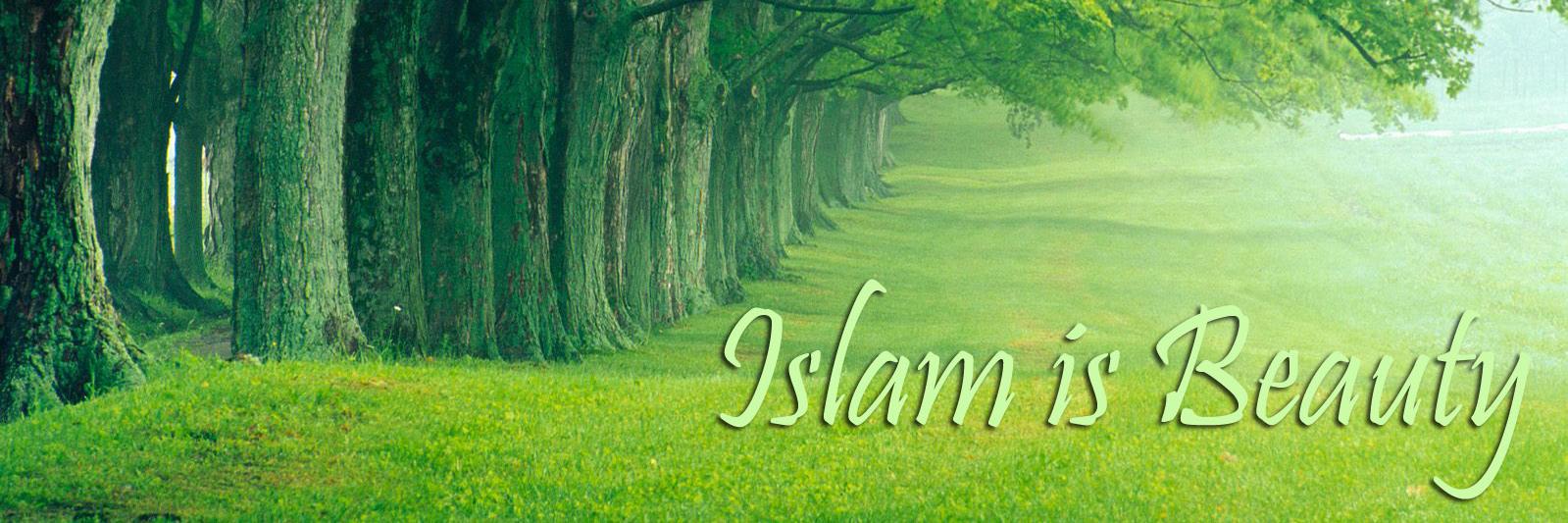 RisydaD's profile banner image