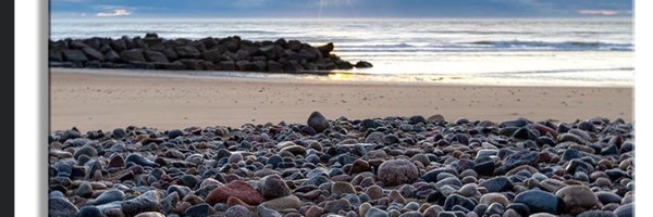 quineali Profile Banner