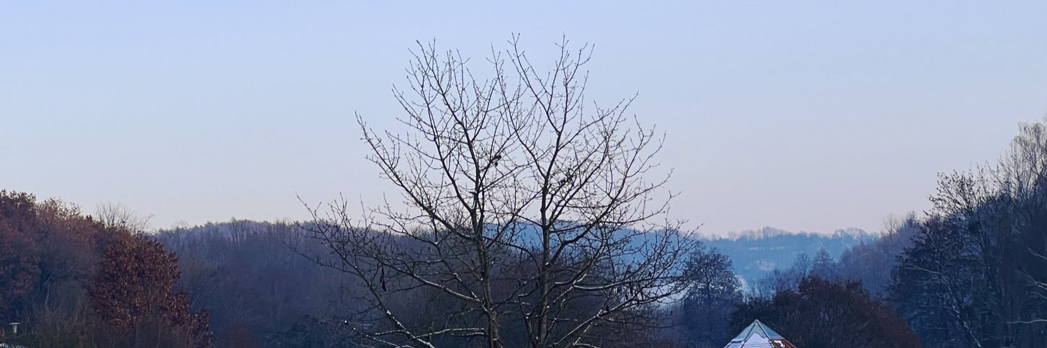 Ailuro banner