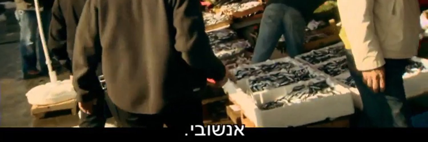 Yoel banner