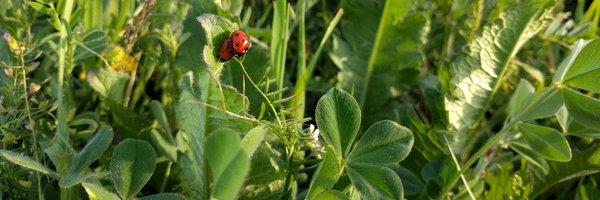 trans4num Profile Banner