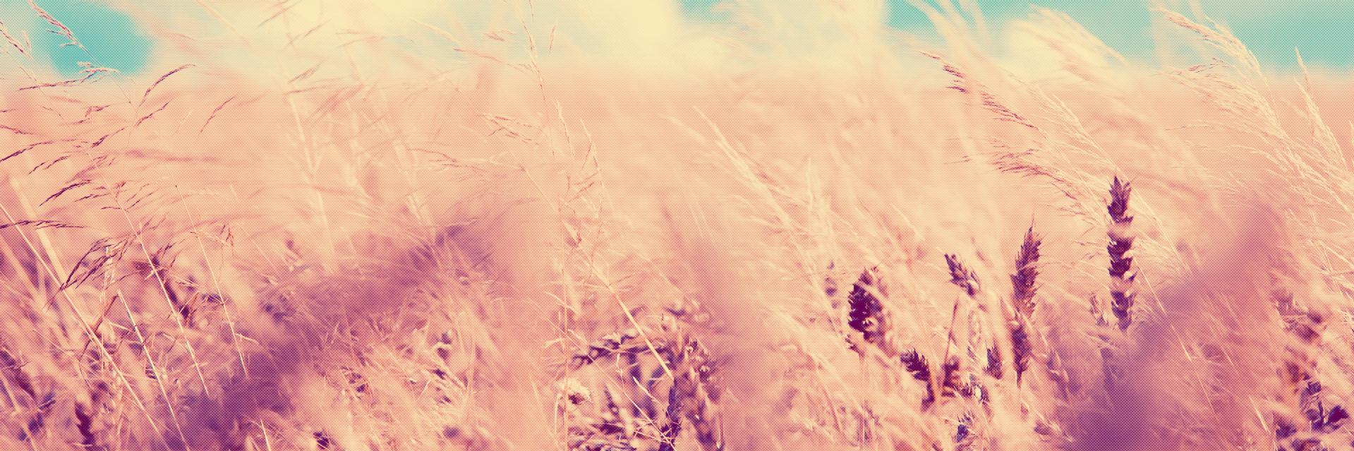 Emphasising's profile banner image