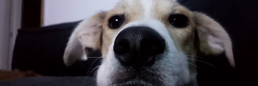 katetimar's profile banner image