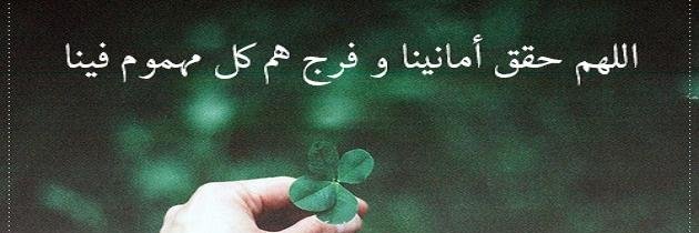 lm3337572's profile banner image