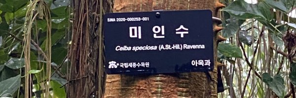 kimDiso Profile Banner