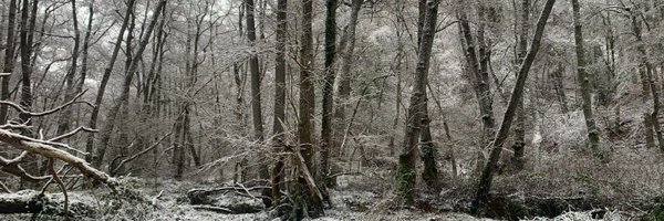 batten_steph Profile Banner