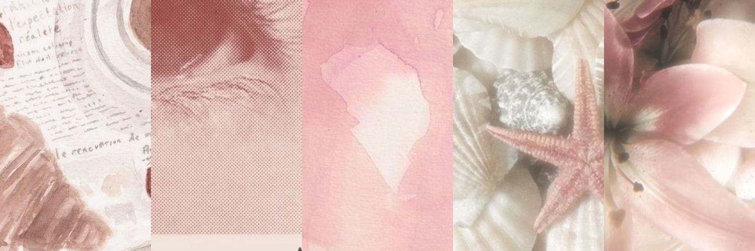 nalaa 🩰 ۫ ꣑ৎ. banner