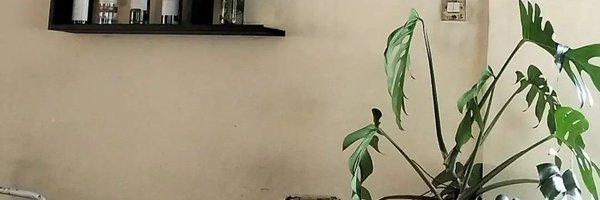 anoenny Profile Banner